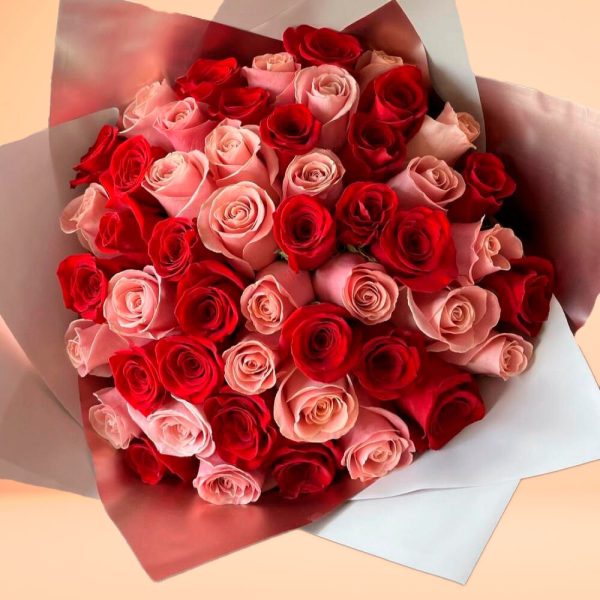 rosas-rosdas-rojs rosas-rosdas-rojs