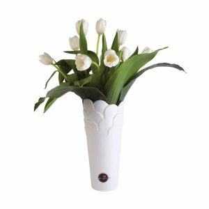tulipanes blancos y rojos