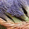 lavanda seca al mayor