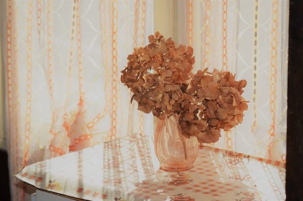 ramo flores secas ramos de flores secas