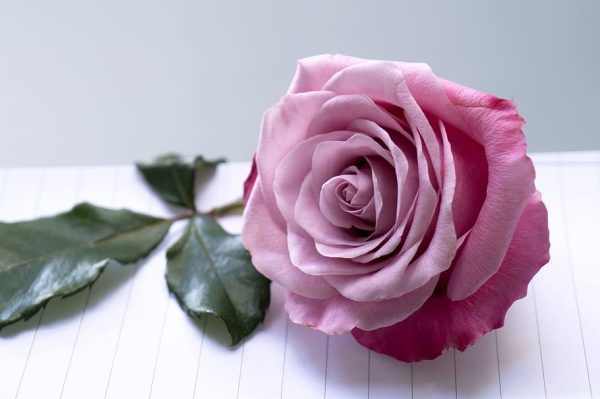 rosa de papel crepe flor rosa de papel