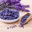 flores de lavanda secas