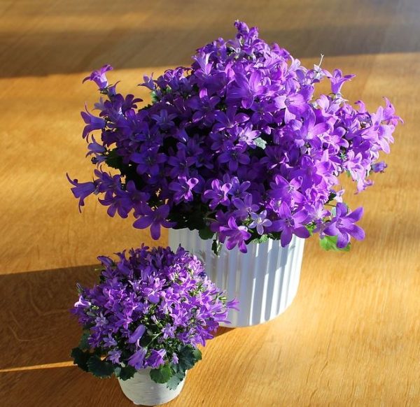 flores artificiales amarillas precio de flores artificiales