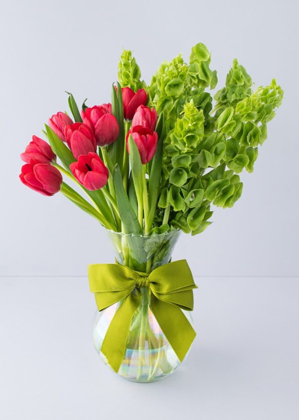 tulipan de regalo tulipanes de amor