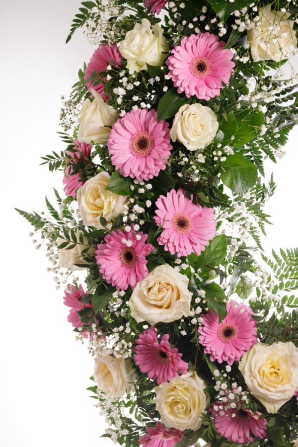 rosas astromelias colores de astromelias