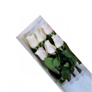 flores rosas blancas