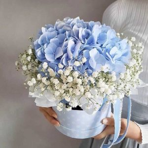 Mini Box de Hortensias - Florerías Inkas